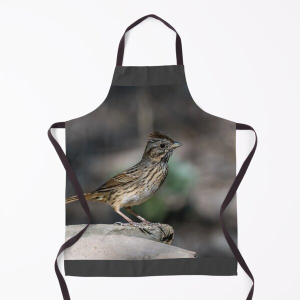 Item preview, Lincoln’s Sparrow at Bentsen Rio Grande State Park designed and sold by Debra Martz.
