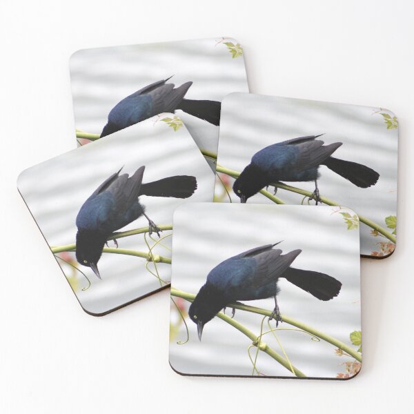 Item preview, Great-tailed Grackle designed and sold by Cynthia48.