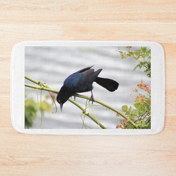 Item preview, Great-tailed Grackle designed and sold by Cynthia48.