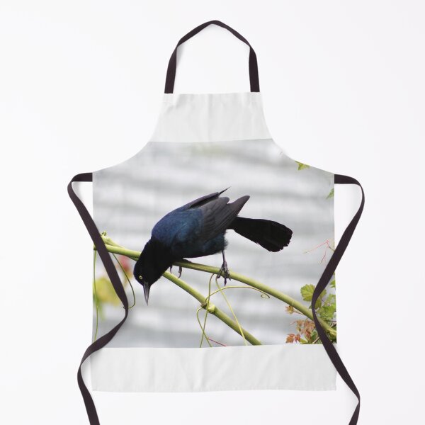 Item preview, Great-tailed Grackle designed and sold by Cynthia48.