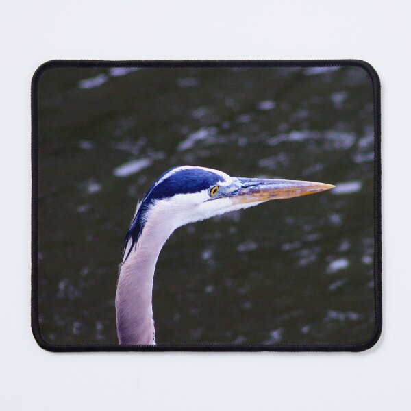 Item preview, Great Blue Heron Headshot designed and sold by Cynthia48.