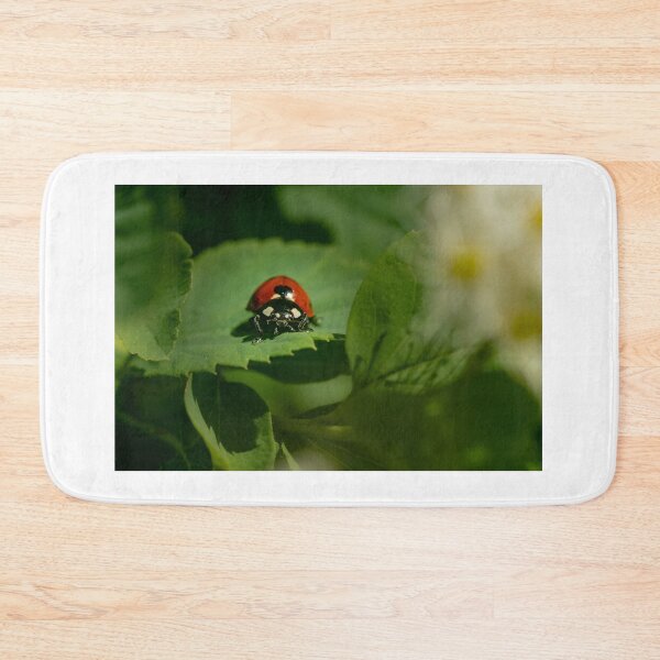Item preview, Face to Face — Seven-Spot Ladybug Up Close designed and sold by Rabee Khalil Photography.