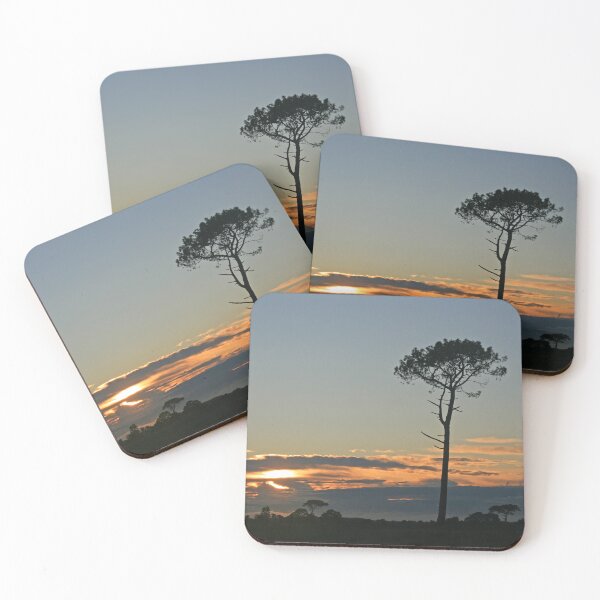 Item preview, Tree Silhouette, Canford Heath, June 2020 designed and sold by RedHillDigital.