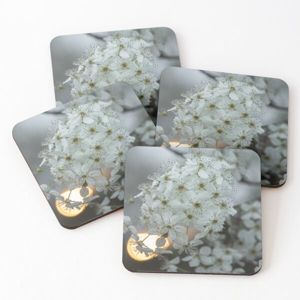 Item preview, Pera Bradford designed and sold by AlanJayPhotos.