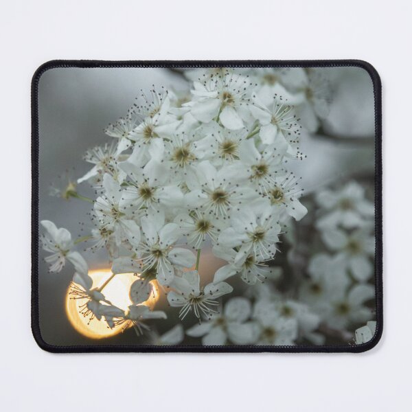 Item preview, Bradford Pear designed and sold by AlanJayPhotos.