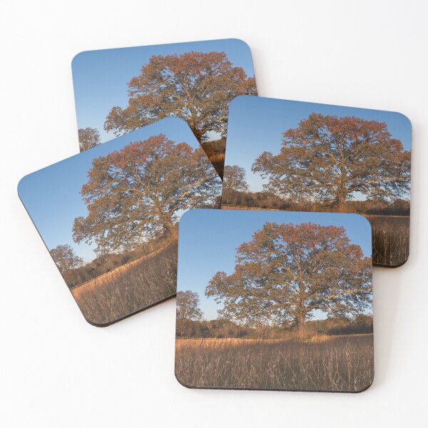 Item preview, The tree in Autumn designed and sold by AlanJayPhotos.