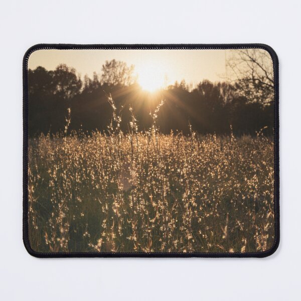 Item preview, Sunset on the pasture grass designed and sold by AlanJayPhotos.