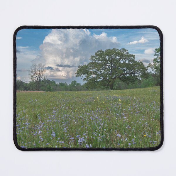 Item preview, Springtime on the farm designed and sold by AlanJayPhotos.
