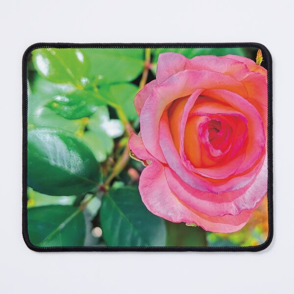Item preview, Marilyn Giga Gorgeous Bloom designed and sold by Giga Gorgeous Blooms.