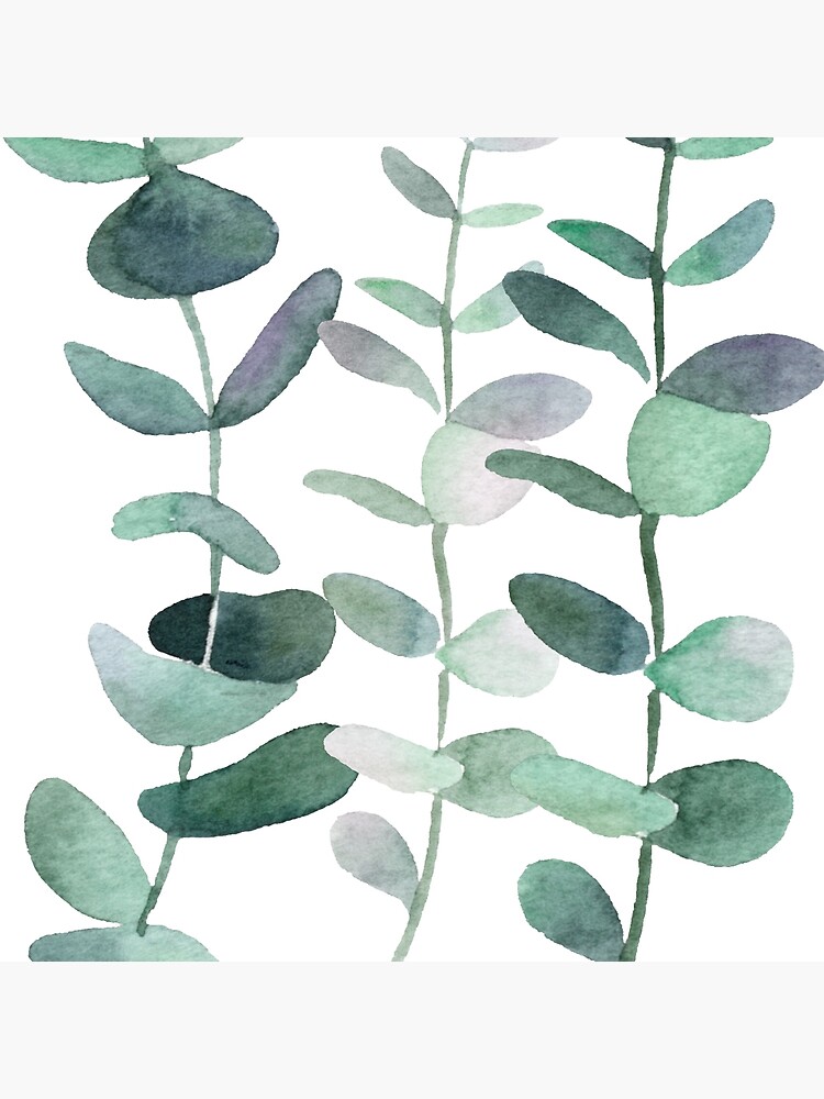 Download "Watercolor, eucalyptus, leaves, botanical, painting ...