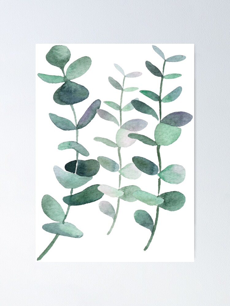 eucalyptus painting