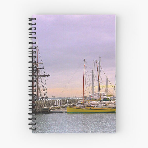 Item preview, Girls Floating in Geelong designed and sold by Larry Davis.