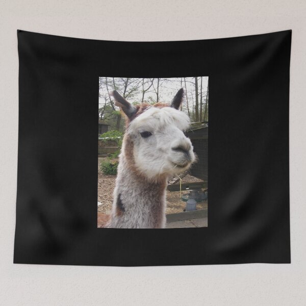 Item preview, Curious Alpaca Close-Up – Cute Farm Animal designed and sold by TheMarketplaceworld.