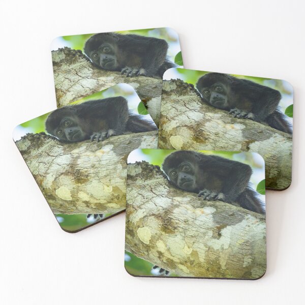 Item preview, Howler Monkey Baby designed and sold by Shannon Emmel .