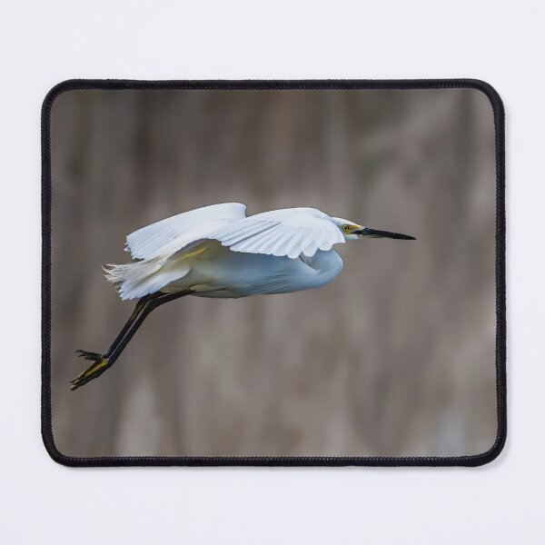 Item preview, Egret in Flight at Herdsman Lake designed and sold by Jan Fijolek.