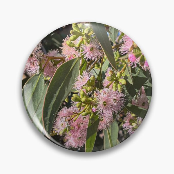 Item preview, Pink Flowering Gum Blossoms Australian Native Eucalyptus Floral Photography designed and sold by Be Captured by Brittany Emma.