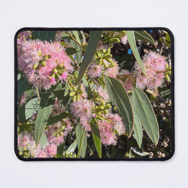 Item preview, Pink Flowering Gum Blossoms Australian Native Eucalyptus Floral Photography designed and sold by Be Captured by Brittany Emma.