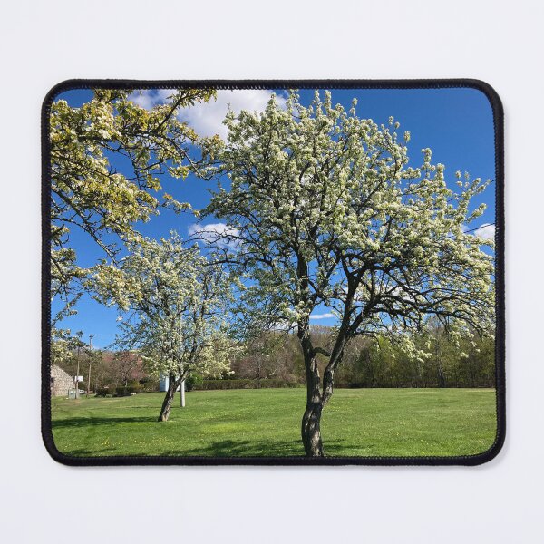 Item preview,  Still They Bloom designed and sold by Amanda1775.