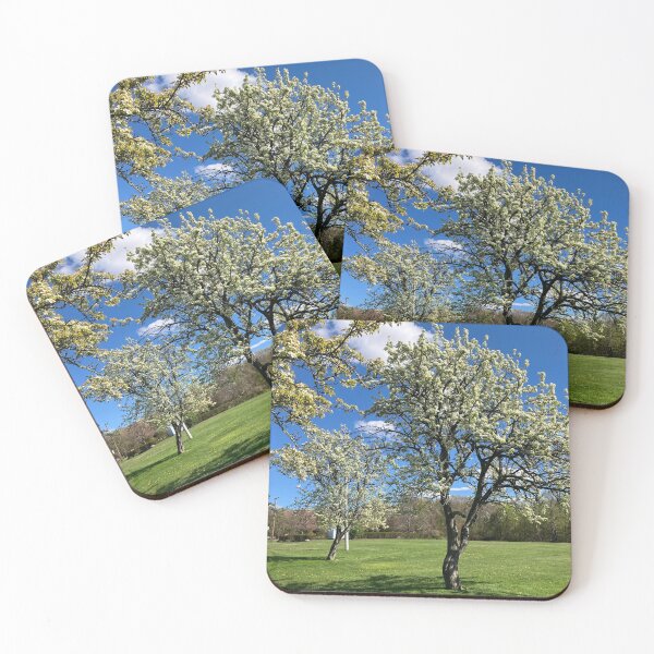 Item preview,  Still They Bloom designed and sold by Amanda1775.