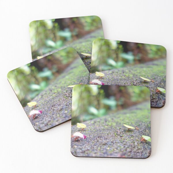 Item preview, Small Steps, Mighty Journeys designed and sold by sky earth human.