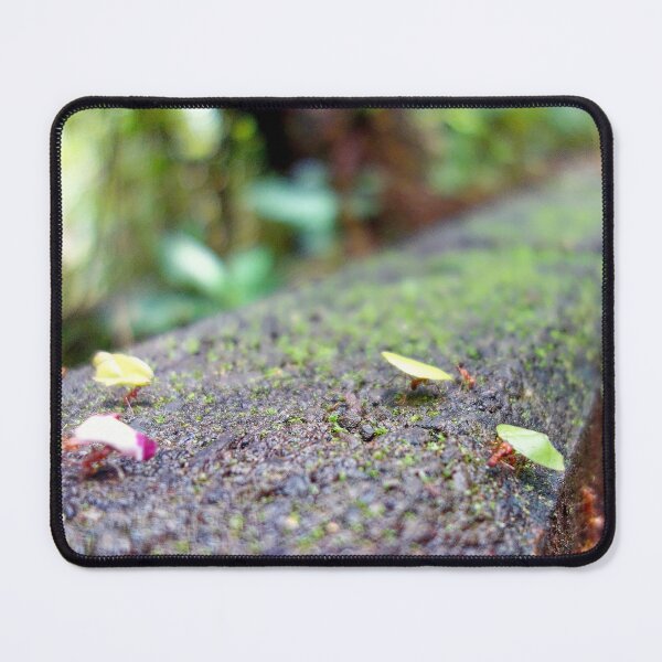 Item preview, Small Steps, Mighty Journeys designed and sold by sky earth human.