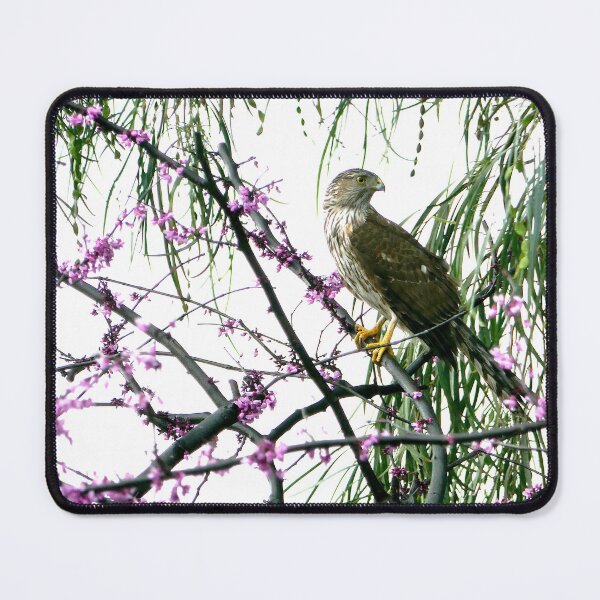 Item preview, The Silent Guardian of Spring designed and sold by sky earth human.
