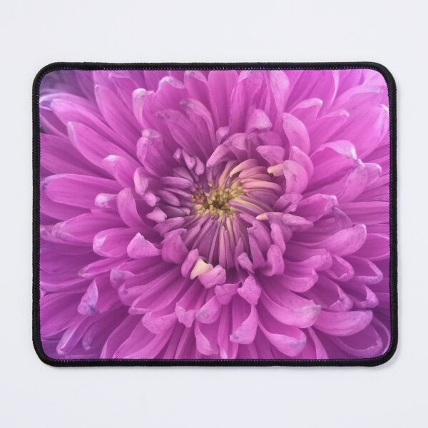 Item preview, Purple Chrysanthemum Perfect for Mothers Day designed and sold by jaynerushton.