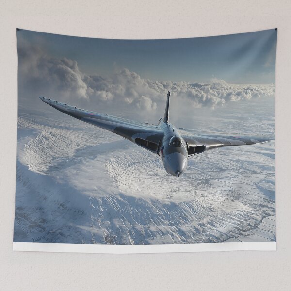 Item preview, Cold War Steel Against Winters White designed and sold by Skyframe Aviation.