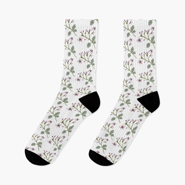 Item preview, Vintage Watercolor Wildflower Botanical Sketch designed and sold by Lush Brush & Line.