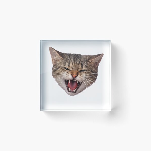 Item preview, Don't Test Me Today — Angry Hissing Cat Face designed and sold by Owcomm.