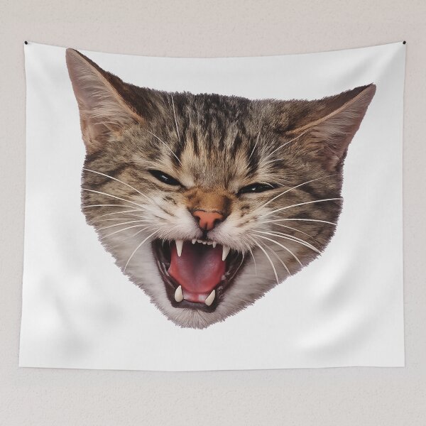 Item preview, Don't Test Me Today — Angry Hissing Cat Face designed and sold by Owcomm.