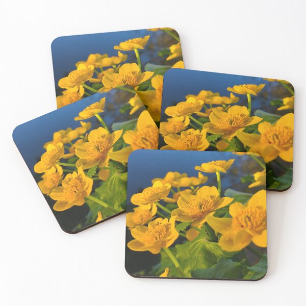 Item preview, Golden Marsh Marigold Flowers in Evening Light designed and sold by Kainicram.