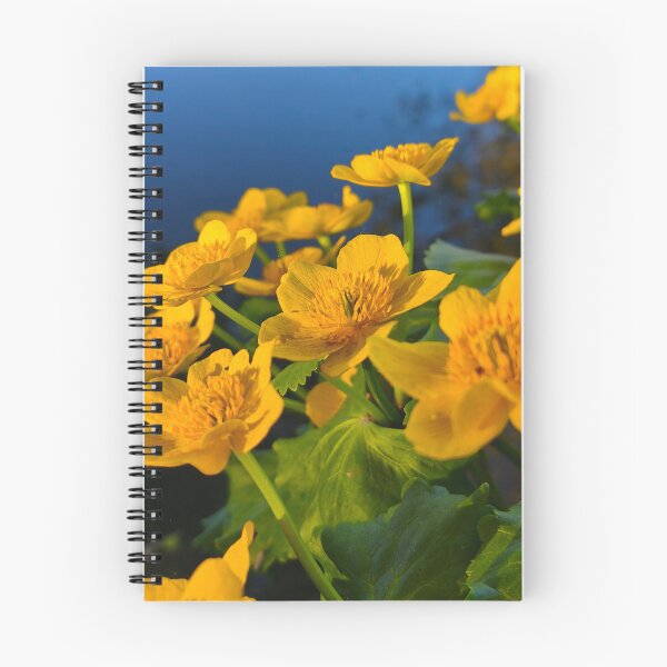 Item preview, Golden Marsh Marigold Flowers in Evening Light designed and sold by Kainicram.