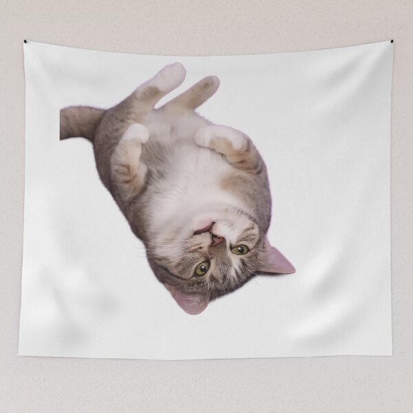 Item preview, Upside-Down Cat with Chaos Energy designed and sold by Owcomm.