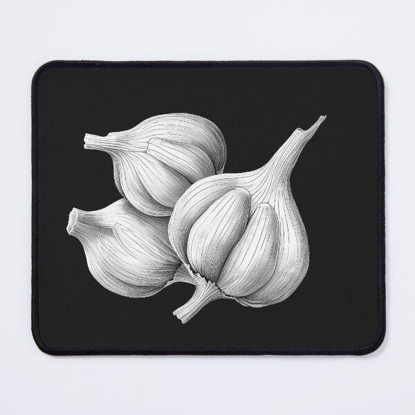 Item preview, Black and White Garlic Bulbs Illustration | Monochrome Kitchen Botanical Art designed and sold by inkoutninja.