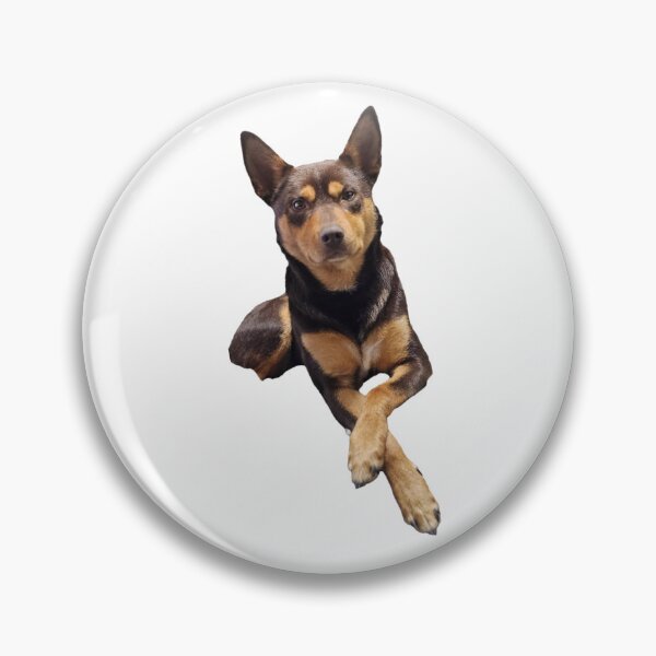 Item preview, Chip the Kelpie designed and sold by KrazyKelpieDesigns.