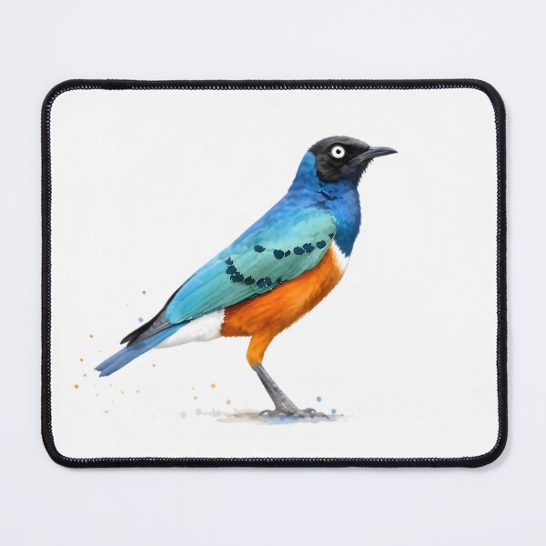 Item preview, Superb Starling designed and sold by HOMETOWN86.
