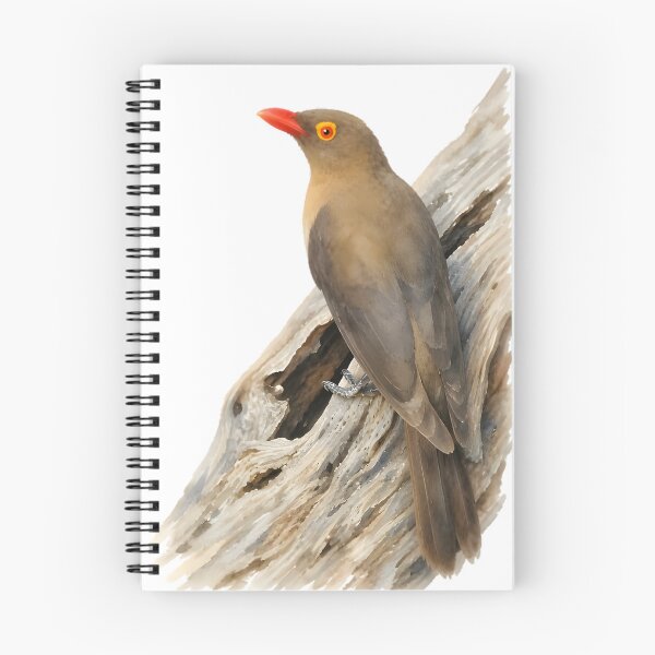 Item preview, Red-billed Oxpecker designed and sold by HOMETOWN86.