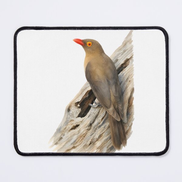 Item preview, Red-billed Oxpecker designed and sold by HOMETOWN86.