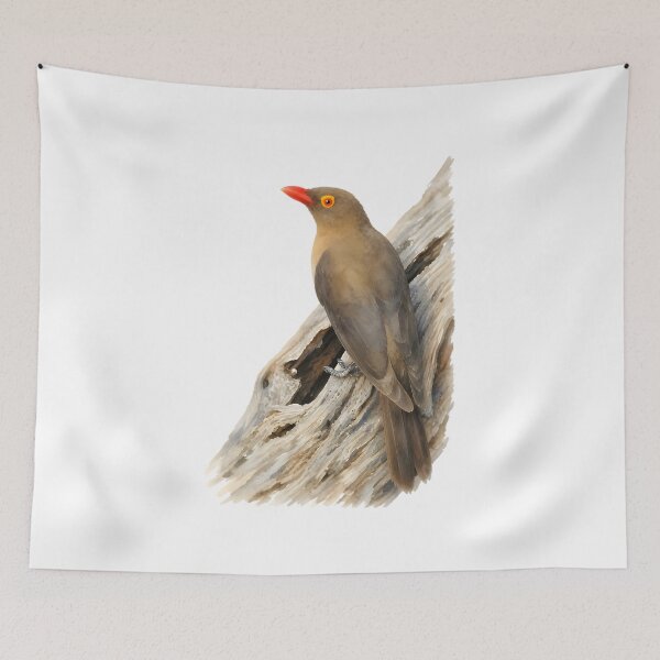 Item preview, Red-billed Oxpecker designed and sold by HOMETOWN86.