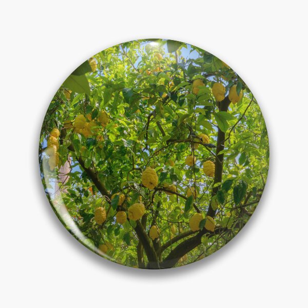 Item preview, Luscious Lemon Tree in Sorrento designed and sold by Kasia Design.
