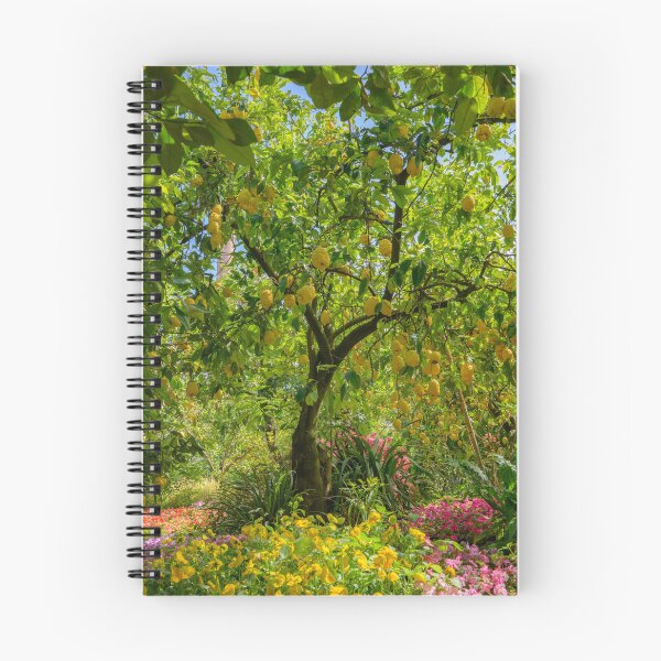 Item preview, Luscious Lemon Tree in Sorrento designed and sold by Kasia Design.