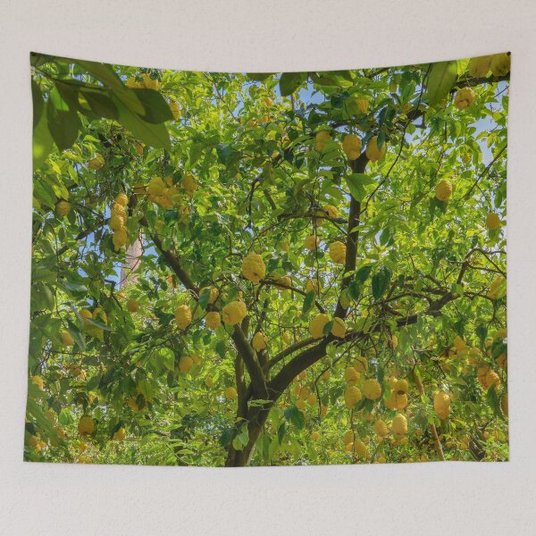 Item preview, Luscious Lemon Tree in Sorrento designed and sold by Kasia Design.