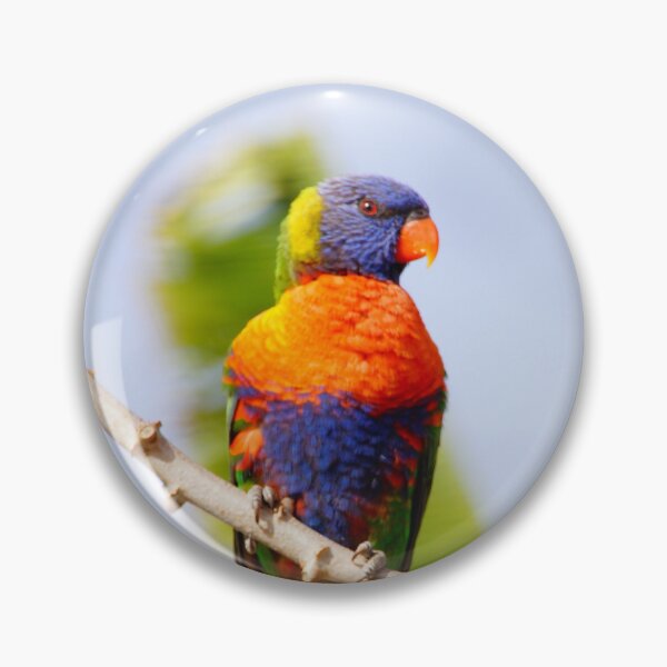Item preview, Rainbow Lorikeet Portrait designed and sold by Travel_Butterfly.