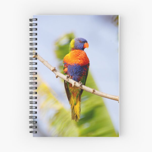 Item preview, Rainbow Lorikeet Portrait designed and sold by Travel_Butterfly.