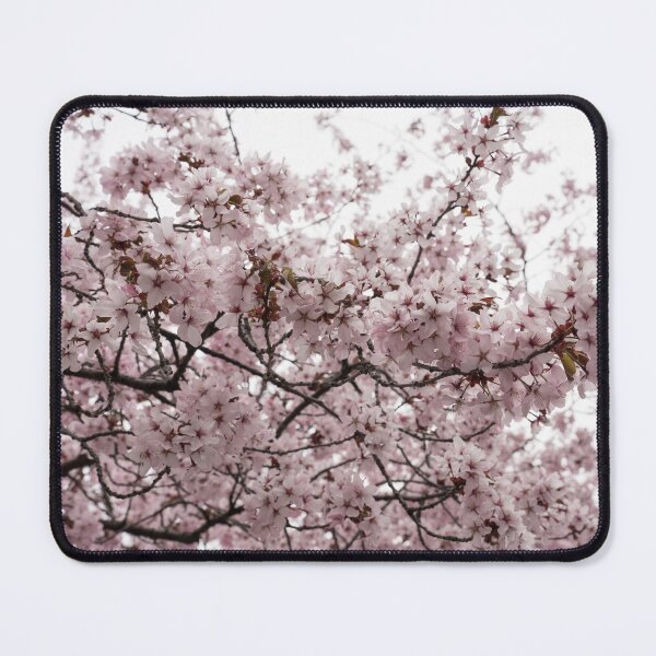 Item preview, Sakura Cherry Blossom Branches in Bloom designed and sold by Georgia Mizuleva.