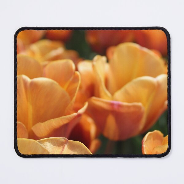 Item preview, Yellow Tulips designed and sold by plzx.