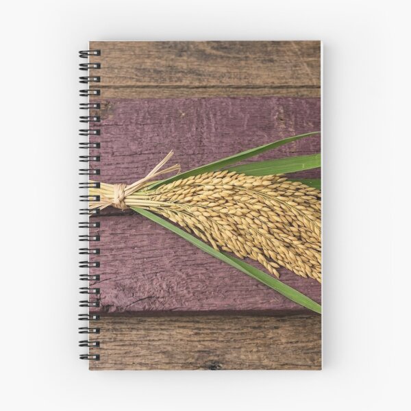 Item preview, Golden Rice Paddy Bundle — Rustic Harvest  designed and sold by Mindful Heritage.
