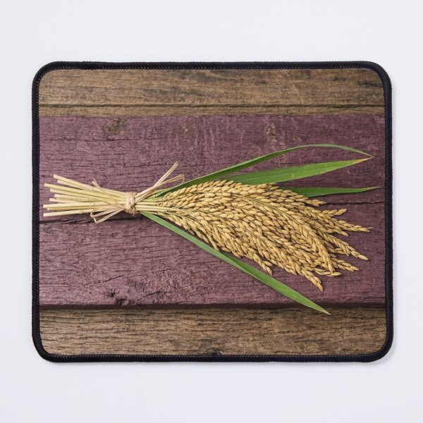 Item preview, Golden Rice Paddy Bundle — Rustic Harvest  designed and sold by Mindful Heritage.