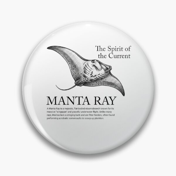Item preview, Manta Ray - The Spirit of the Current Vintage Marine Biology   designed and sold by MotionBanana Art.